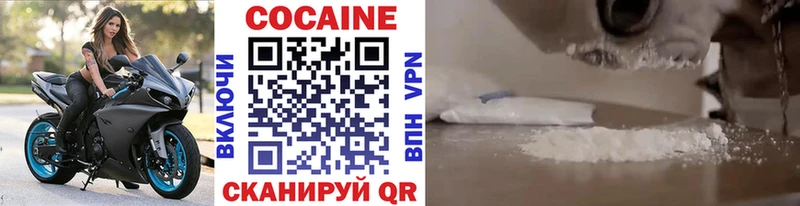 Cocaine FishScale  купить наркоту  Городовиковск 