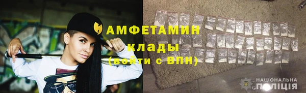шишки Белоозёрский