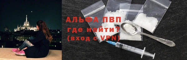 шишки Белоозёрский