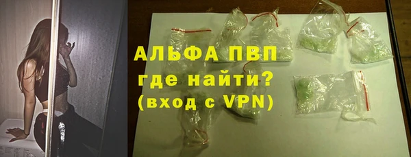 шишки Белоозёрский