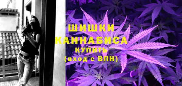 шишки Белоозёрский