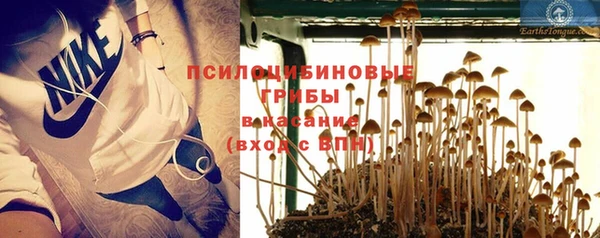 шишки Белоозёрский