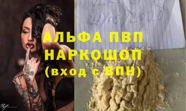 шишки Белоозёрский